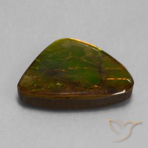 Ammolite Multicolore naturelle Fantaisie, 15.18 ct, Opaque