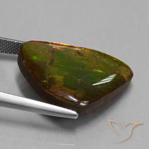 Ammolite Multicolore naturelle Fantaisie, 15.18 ct, Opaque