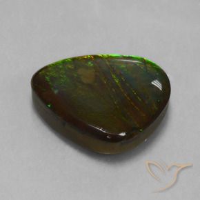 Ammolite Multicolore naturelle Fantaisie, 16.74 ct, Opaque