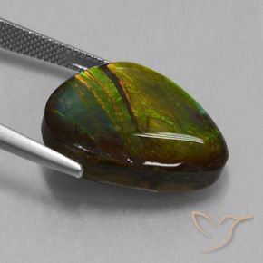 Ammolite Multicolore naturelle Fantaisie, 16.74 ct, Opaque