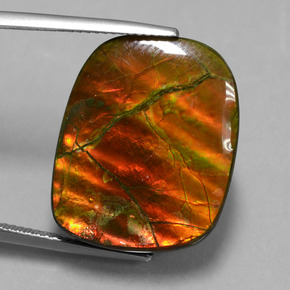 Ammolite Multicolore naturelle Forme fantaisie, 20.27 ct, Opaque