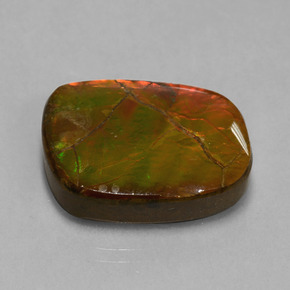 Ammolite Multicolore naturelle Forme fantaisie, 20.27 ct, Opaque