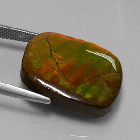 Ammolite Multicolore naturelle Forme fantaisie, 20.27 ct, Opaque