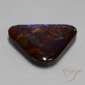 Ammolite Multicolore naturelle Trillion, 23.63 ct, Opaque