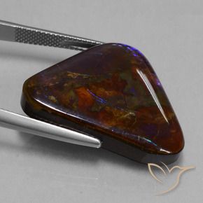 Ammolite Multicolore naturelle Trillion, 23.63 ct, Opaque
