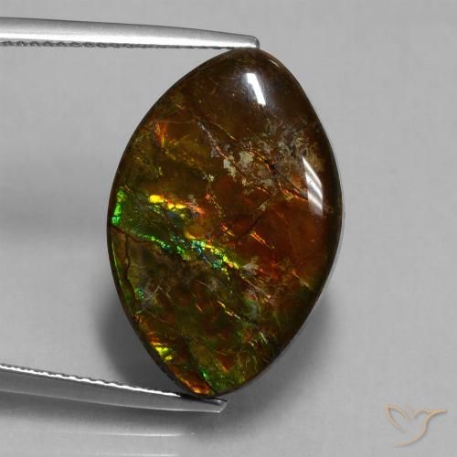 Ammolite Multicolore naturelle Marquise, 13.51 ct, Opaque