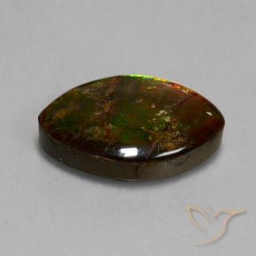 Ammolite Multicolore naturelle Marquise, 13.51 ct, Opaque