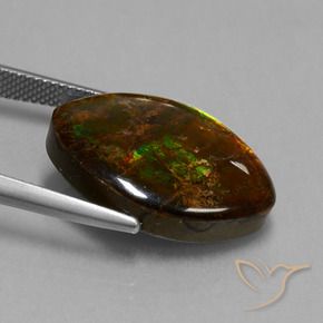 Ammolite Multicolore naturelle Marquise, 13.51 ct, Opaque