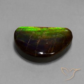 Ammolite Multicolore naturelle Fantaisie, 15.89 ct, Opaque