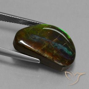 Ammolite Multicolore naturelle Fantaisie, 15.89 ct, Opaque