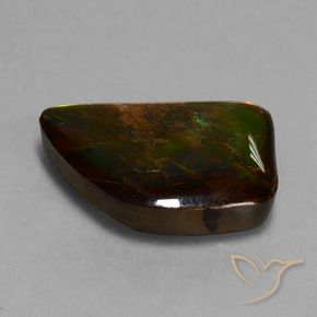 Ammolite Multicolore naturelle Fantaisie, 15.62 ct, Opaque