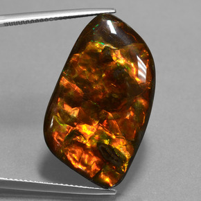 Ammolite Multicolore naturelle Forme fantaisie, 20.42 ct, Opaque