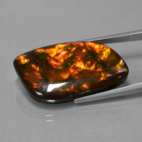 Ammolite Multicolore naturelle Forme fantaisie, 20.42 ct, Opaque