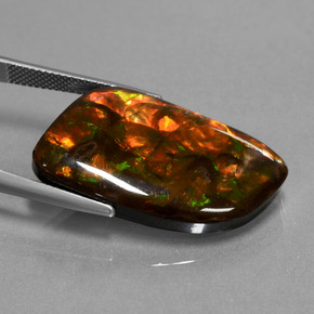 Ammolite Multicolore naturelle Forme fantaisie, 20.42 ct, Opaque