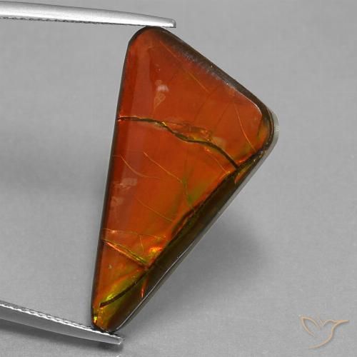 17.93ct Naturel Multicolore Ammolite, Trillion, Opaque
