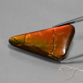Ammolite Multicolore naturelle Trillion, 17.93 ct, Opaque