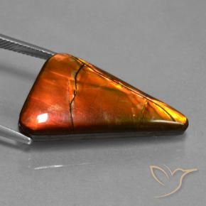 Ammolite Multicolore naturelle Trillion, 17.93 ct, Opaque
