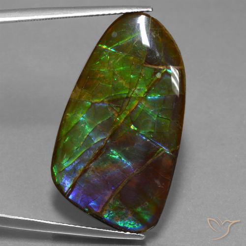 23.16ct Naturel Multicolore Ammolite, Fantaisie, Opaque