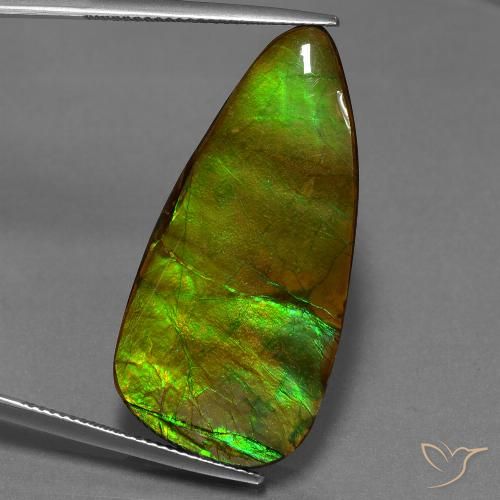 24.28ct Naturel Multicolore Ammolite, Fantaisie, Opaque