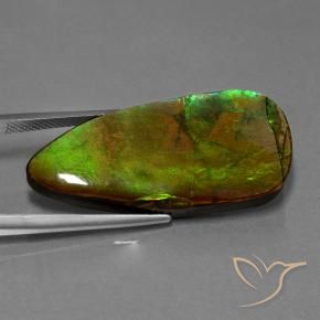 Ammolite Multicolore naturelle Fantaisie, 24.28 ct, Opaque
