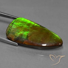 Ammolite Multicolore naturelle Fantaisie, 24.28 ct, Opaque