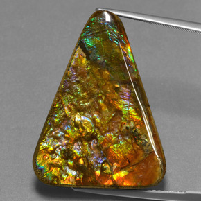 Ammolite multicolore naturelle trillion, 23,76 ct, opaque