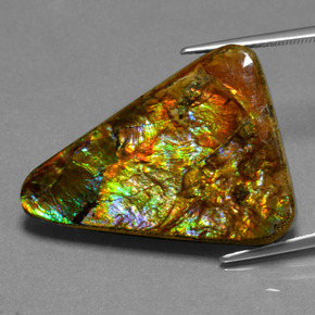 Ammolite multicolore naturelle trillion, 23,76 ct, opaque