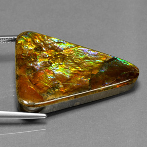 Ammolite multicolore naturelle trillion, 23,76 ct, opaque