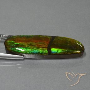 Ammolite Multicolore naturelle Fantaisie, 23.33 ct, Opaque