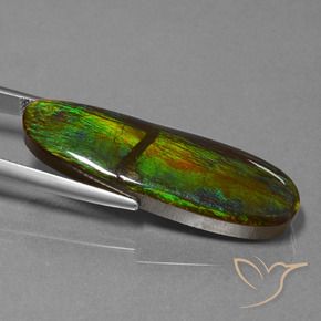 Ammolite Multicolore naturelle Fantaisie, 23.33 ct, Opaque