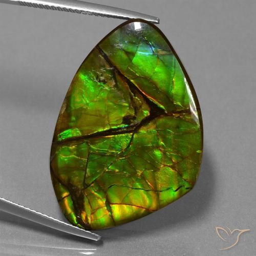 Ammolite Multicolore naturelle Fantaisie, 24.51 ct, Opaque