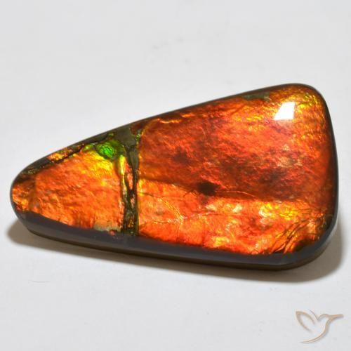 Ammolite Multicolore naturelle Fantaisie, 23.02 ct, Opaque
