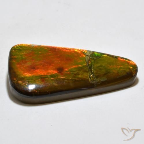 Ammolite Multicolore naturelle Fantaisie, 23.02 ct, Opaque