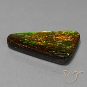 Ammolite Multicolore naturelle Fantaisie, 23.06 ct, Opaque