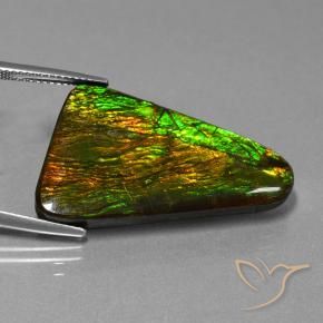 Ammolite Multicolore naturelle Fantaisie, 23.06 ct, Opaque
