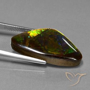 Ammolite Multicolore naturelle Fantaisie, 18.77 ct, Opaque