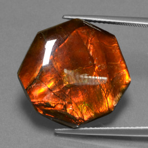 Ammolite multicolore naturelle taille émeraude, 13,98 ct, opaque