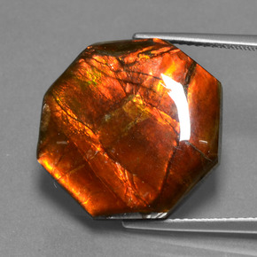 Ammolite multicolore naturelle taille émeraude, 13,98 ct, opaque