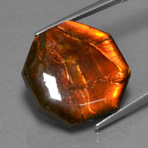 Ammolite multicolore naturelle taille émeraude, 13,98 ct, opaque