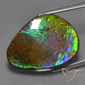 Ammolite Multicolore naturelle Fantaisie, 17.46 ct, Opaque