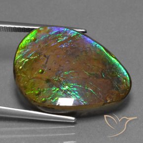 Ammolite Multicolore naturelle Fantaisie, 17.46 ct, Opaque