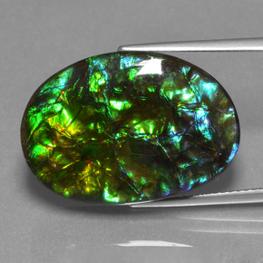 Ammolite Multicolore naturelle Forme fantaisie, 20.31 ct, Opaque