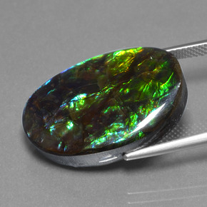 Ammolite Multicolore naturelle Forme fantaisie, 20.31 ct, Opaque
