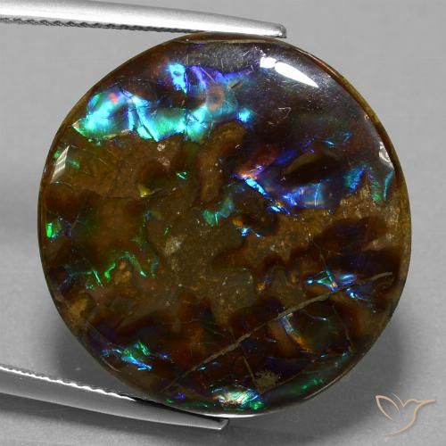 Ammolite Multicolore naturelle Tour, 27.20 ct, Opaque