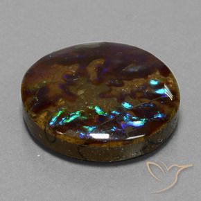 Ammolite Multicolore naturelle Tour, 27.20 ct, Opaque