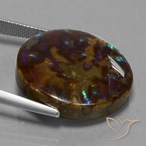 Ammolite Multicolore naturelle Tour, 27.20 ct, Opaque