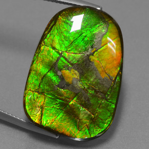 Ammolite Multicolore naturelle Forme fantaisie, 24.20 ct, Opaque