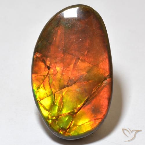 Ammolite Multicolore naturelle Fantaisie, 21.93 ct, Opaque