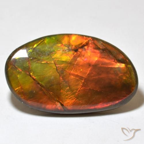 Ammolite Multicolore naturelle Fantaisie, 21.93 ct, Opaque