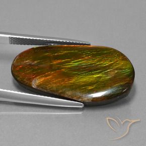 Ammolite Multicolore naturelle Fantaisie, 18.71 ct, Opaque
